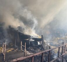 Afyonkarahisar'da samanlık yangınında 3 hayvan telef oldu