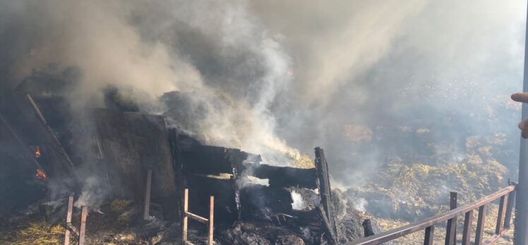 Afyonkarahisar'da samanlık yangınında 3 hayvan telef oldu