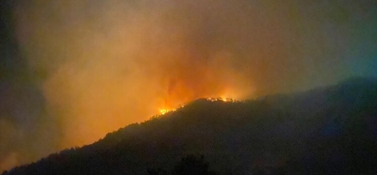 Antalya'nın Gazipaşa ilçesinde orman yangını başladı
