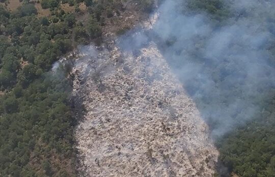 Balıkesir'de orman yangını kontrol altına alındı