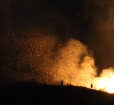 Bodrum'da makilik alanda çıkan yangın söndürüldü