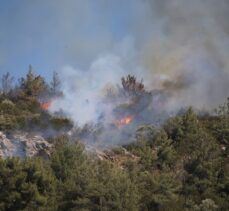 GÜNCELLEME – Bodrum'da makilik ve ormanlık alanda çıkan yangına müdahale ediliyor