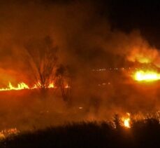 Burdur Gölü kenarındaki sazlıklarda yangın