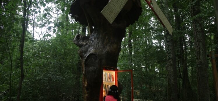 Doğal yaşam parkı Ormanya'da “Orman Kütüphanesi” kuruldu