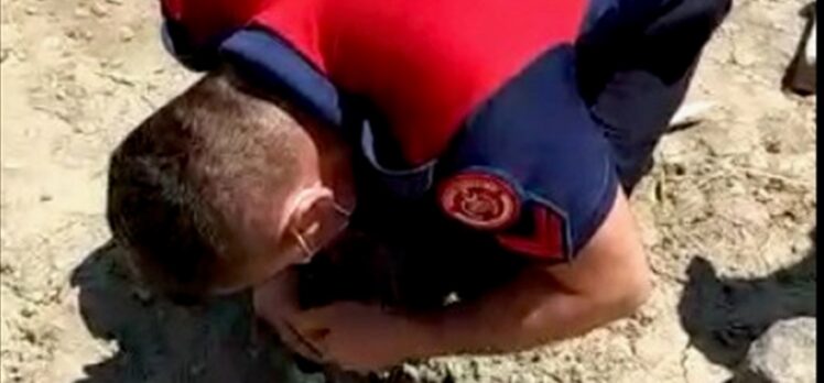 Düzce'de sondaj kuyusuna düşen yavru köpeği itfaiye kurtardı