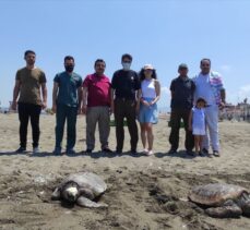 Hatay'da yaralı ve hasta deniz kaplumbağaları tam teşekküllü hastanede tedavi ediliyor