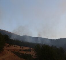 Hatay'ın Hassa ilçesindeki orman yangınına havadan ve karadan müdahale ediliyor