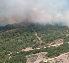 İzmir Karaburun'da makilik alanda çıkan yangına müdahale ediliyor