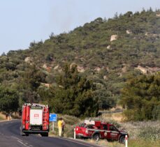 GÜNCELLEME 2 – İzmir'de çıkan orman yangınına müdahale ediliyor
