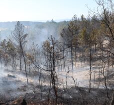 GÜNCELLEME – Kastamonu'da çıkan orman yangını söndürülmeye çalışılıyor
