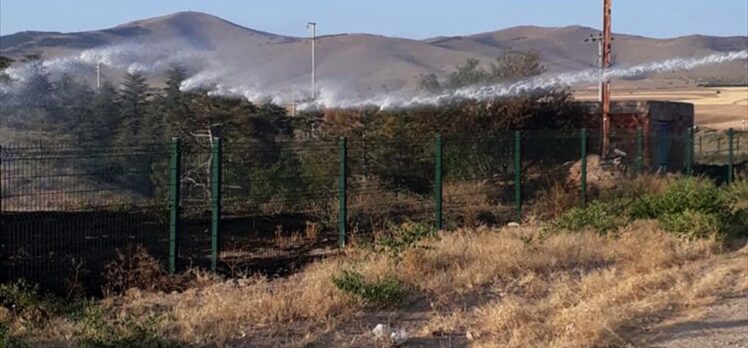 Kırşehir'de tabiat parkında çıkan yangın söndürüldü