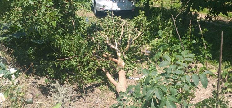 Konya'da otomobilin çarptığı bahçedeki kişi hayatını kaybetti