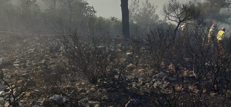 Manisa'da 3 hektarlık alanda etkili olan orman yangını kontrol altına alındı