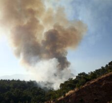 GÜNCELLEME 3 – Mersin Silifke'deki orman yangınına müdahale karadan sürüyor
