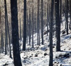 GÜNCELLEME – Mersin'de kontrol altına alınan orman yangını bölgesinde soğutma çalışmaları sürüyor
