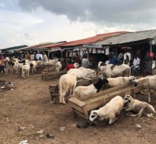Nijerya'da Kurban Bayramı öncesinde çarşı ve pazarlarda hareketlilik yaşandı