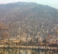 GÜNCELLEME 2 – Osmaniye'deki orman yangınına müdahale ediliyor