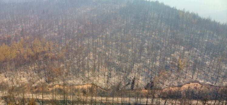 GÜNCELLEME 2 – Osmaniye'deki orman yangınına müdahale ediliyor