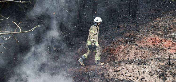 Sarıyer'de gecekonduda çıkan ve ormanlık alana da sıçrayan yangın söndürüldü