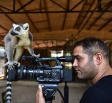 Tarsus Doğa Parkı'nın “Madagaskarlı” sakinleri: Lemurlar