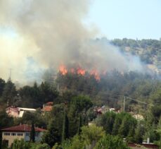 GÜNCELLEME – Uşak'ta çıkan orman yangınına müdahale ediliyor