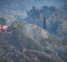 GÜNCELLEME 3 – Adana'da tarlada başlayıp ormanlık alana sıçrayan yangın kontrol altında