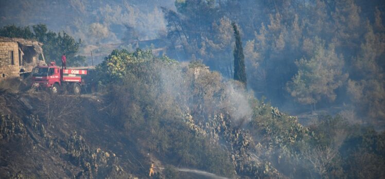 GÜNCELLEME 3 – Adana'da tarlada başlayıp ormanlık alana sıçrayan yangın kontrol altında