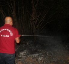 Adana'da zeytin bahçesinde çıkan yangın söndürüldü