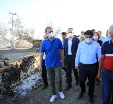 AK Parti'li Ömer Çelik, Mersin'deki orman yangınında zarar gören alanları inceledi: