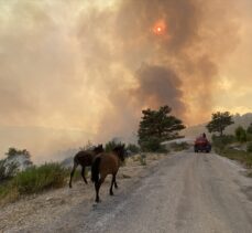 Akseki'deki orman yangınına havadan ve karadan müdahale sürüyor
