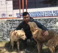 Ayancık'taki sel nedeniyle şantiyede mahsur kalan iki köpek iş makinesiyle kurtarıldı