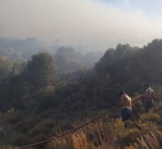Datça'da orman yangını başladı