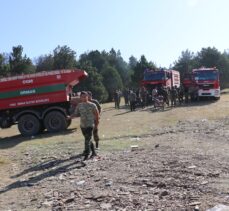 Denizli'deki orman yangınlarının söndürme çalışmalarına Azerbaycan'dan gelen ekipler de destek verdi