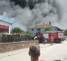 Düzce'de kuruyemiş fabrikasında çıkan yangın hasara neden oldu