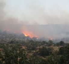 GÜNCELLEME – Gaziantep'in Nizip ilçesinde ormanlık alanda çıkan yangın kontrol altına alındı
