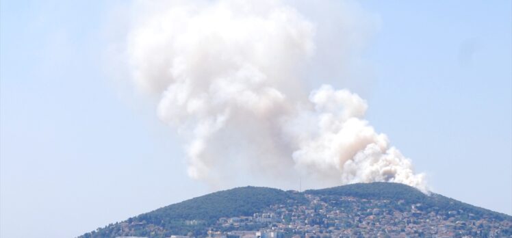 GÜNCELLEME 4- Heybeliada'da ormanlık alanda çıkan yangın kontrol altına alındı