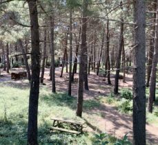 İstanbul'daki mesire alanları ve tabiat parkları boş kaldı