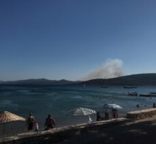 İzmir'in Menderes ve Urla ilçelerinde orman ve makilik alanlarda yangın çıktı