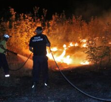Kuzey Makedonya'da orman yangını
