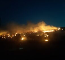 Manisa'nın Soma ilçesindeki ormanlık alanda çıkan yangın kısmen kontrol altında