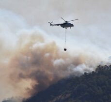 GÜNCELLEME – Milas'ta ormanlık alanda çıkan yangın kontrol altına alınmaya çalışılıyor