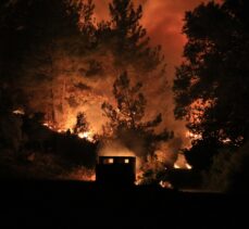 GÜNCELLEME 2 – Milas'ta ormanlık alanda çıkan yangın kontrol altına alınmaya çalışılıyor