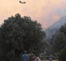 Milas ve Bodrum'da ormanlık alanda çıkan yangınlar kontrol altına alınmaya çalışılıyor