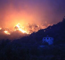 Milas'ta ormanlık alanda çıkan yangın kontrol altına alınmaya çalışılıyor