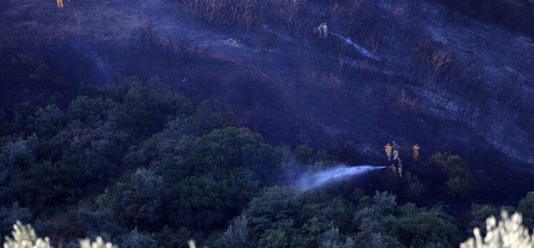 GÜNCELLEME – Mudanya'da çıkan orman yangını kontrol altına alındı