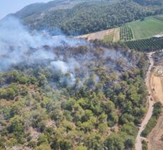 GÜNCELLEME – Muğla'da Dalaman Havalimanı yakınlarında çıkan orman yangını kontrol altına alındı