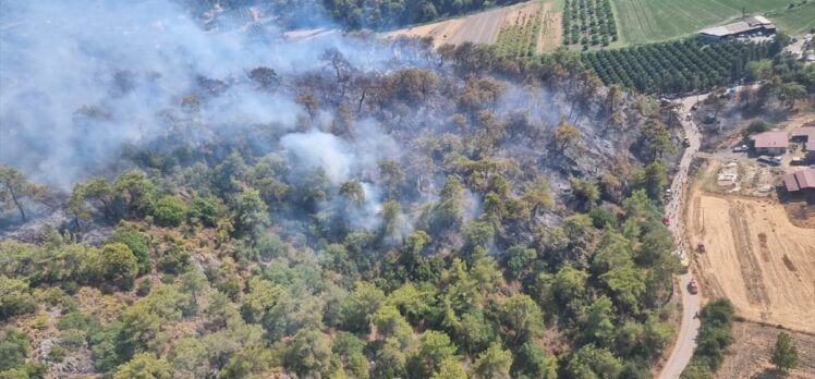 GÜNCELLEME – Muğla'da Dalaman Havalimanı yakınlarında çıkan orman yangını kontrol altına alındı