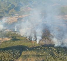 Muğla'nın Kavaklıdere ilçesindeki orman yangınına müdahale sürüyor