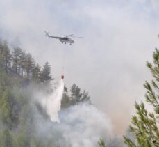 Muğla'nın Köyceğiz ilçesindeki orman yangınına müdahale sürüyor