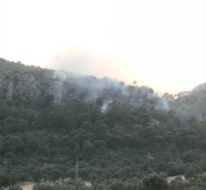 GÜNCELLEME – Muğla'nın Seydikemer ilçesinde orman yangını çıktı
